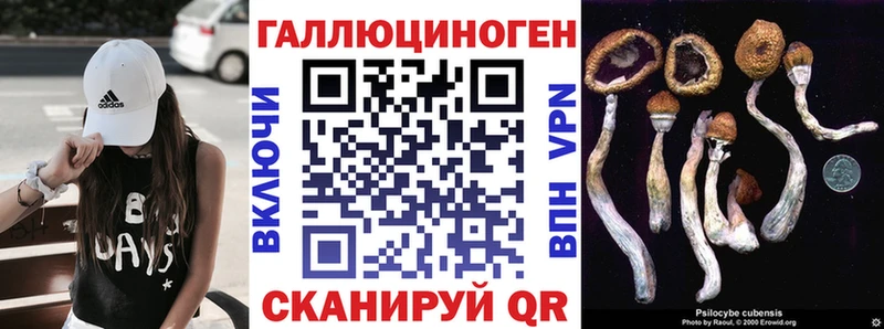 Псилоцибиновые грибы GOLDEN TEACHER  наркотики  Тутаев 